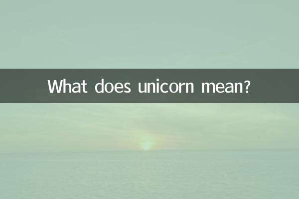 What does unicorn mean?
