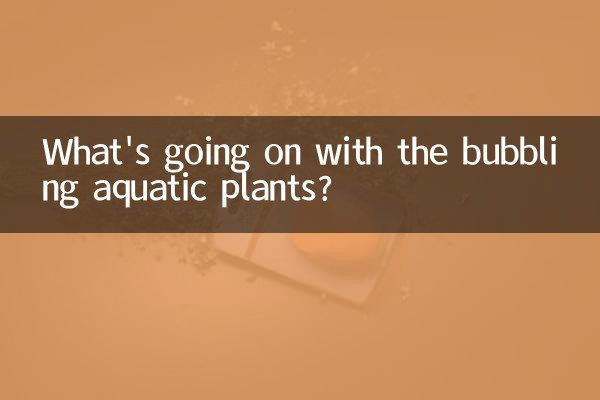 水草冒泡是怎麼回事