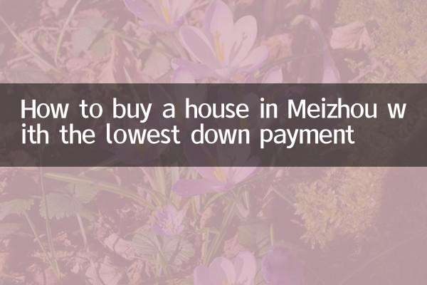 Cómo comprar una casa en Meizhou con el pago inicial más bajo