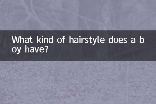 Che tipo di acconciatura ha un ragazzo?