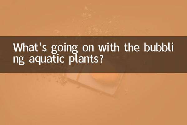 O que está acontecendo com as plantas aquáticas borbulhantes?