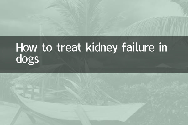 Wie behandelt man Nierenversagen bei Hunden?