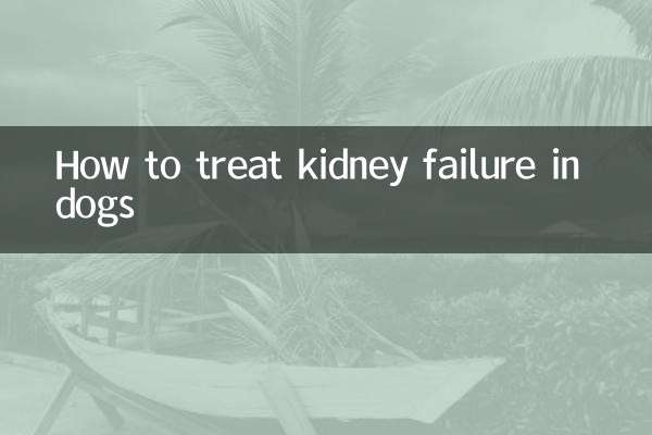 Wie behandelt man Nierenversagen bei Hunden?
