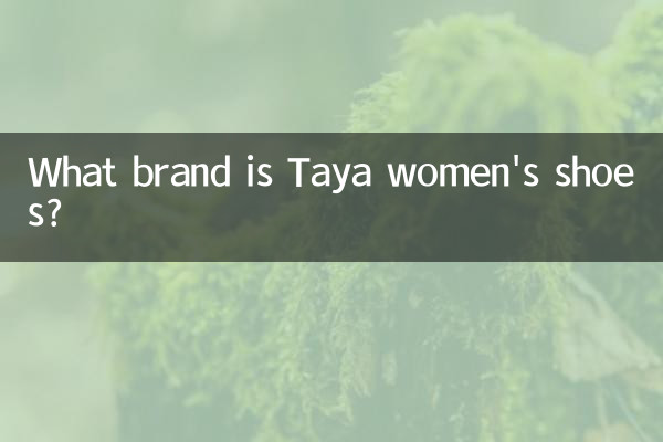 她雅女鞋是什麼牌子