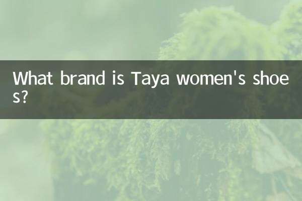 她雅女鞋是什麼牌子