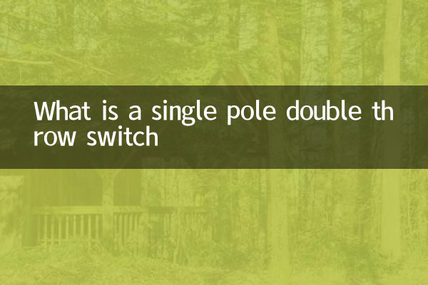 What is a single pole double throw switch