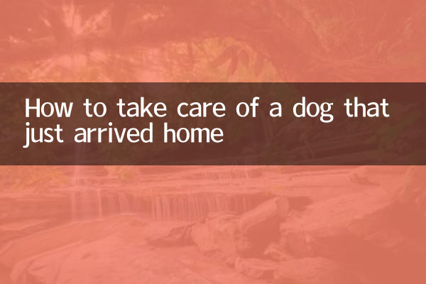 刚到家的狗狗怎么养