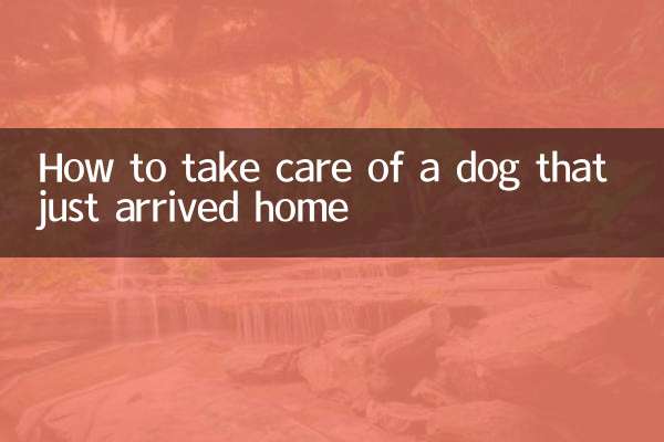 刚到家的狗狗怎么养