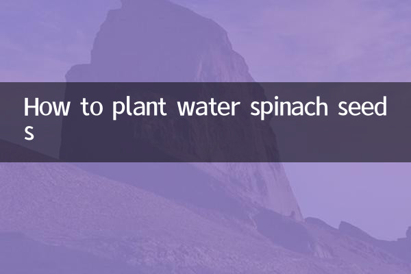 نحوه کاشت بذر اسفناج آبی