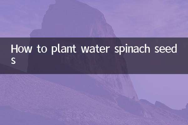 Como plantar sementes de espinafre aquático