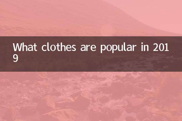 ¿Qué ropa es popular en 2019?