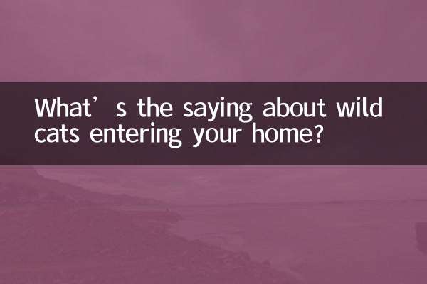 野良猫が家に入ってくるという話は何ですか?
