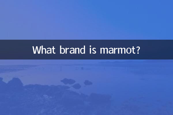 মারমোট কি ব্র্যান্ড?
