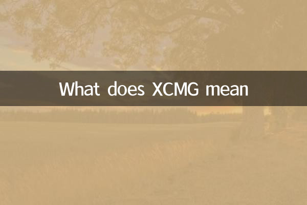 Что означает XCMG