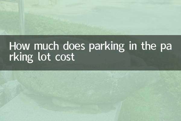 How much does parking in the parking lot cost