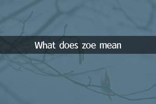 Zoe는 무엇을 의미합니까?