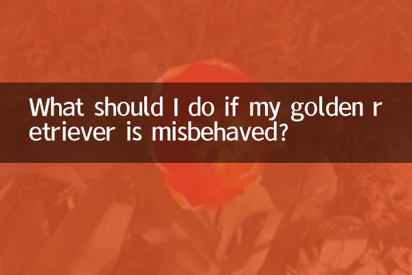 ¿Qué debo hacer si mi golden retriever se porta mal?