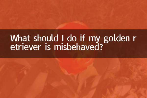 What should I do if my golden retriever is misbehaved?