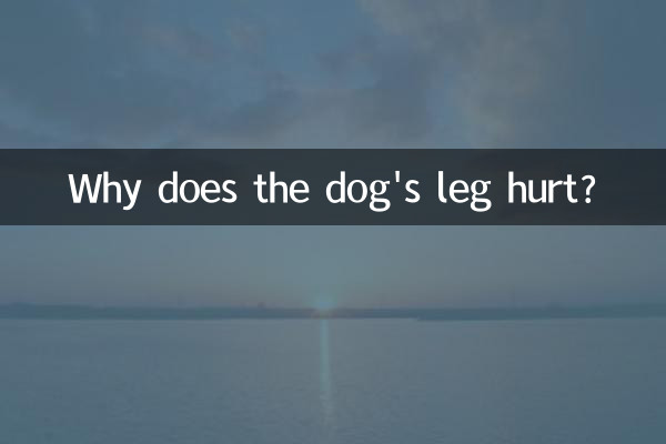 Pourquoi la patte du chien fait-elle mal ?