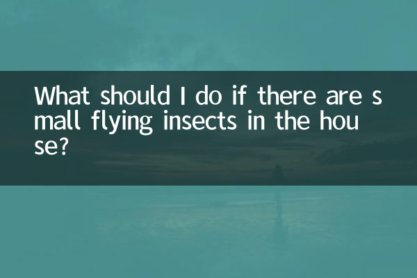 Que dois-je faire s’il y a de petits insectes volants dans la maison ?