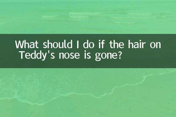 O que devo fazer se os pelos do nariz de Teddy desaparecerem?