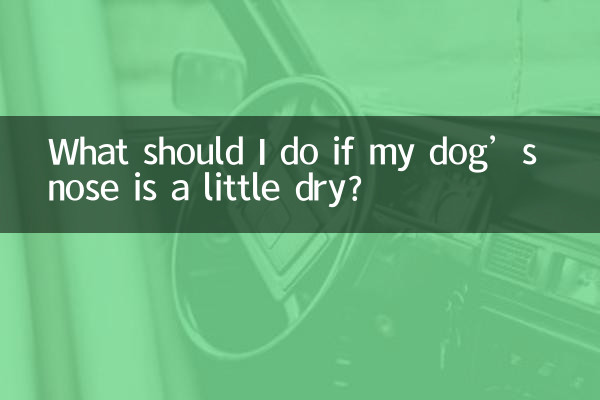 اگر بینی سگم کمی خشک است چه کار کنم؟
