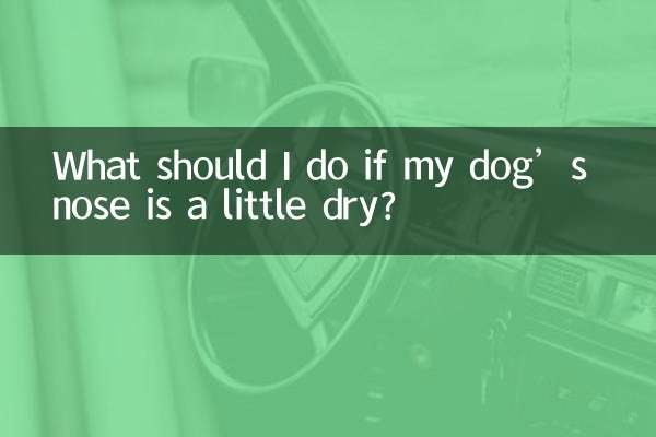 اگر بینی سگم کمی خشک است چه کار کنم؟