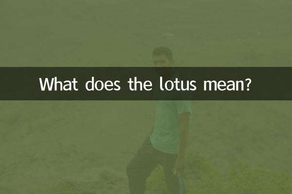 What does the lotus mean?