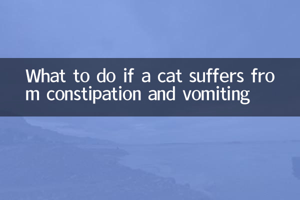 Cosa fare se il gatto soffre di stitichezza e vomito