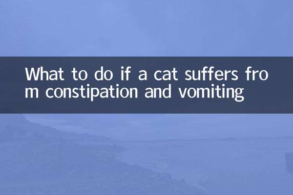 ماذا تفعل إذا كانت القطة تعاني من الإمساك والقيء