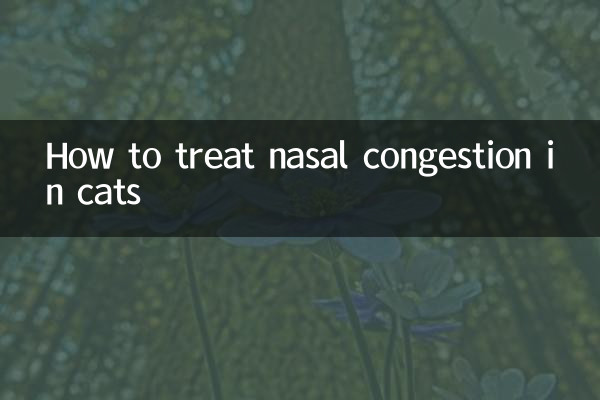 بلیوں میں ناک کی بھیڑ کا علاج کیسے کریں