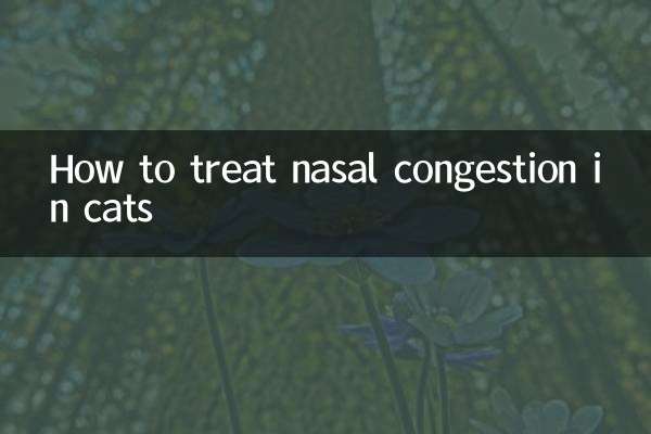 猫の鼻づまりの治し方