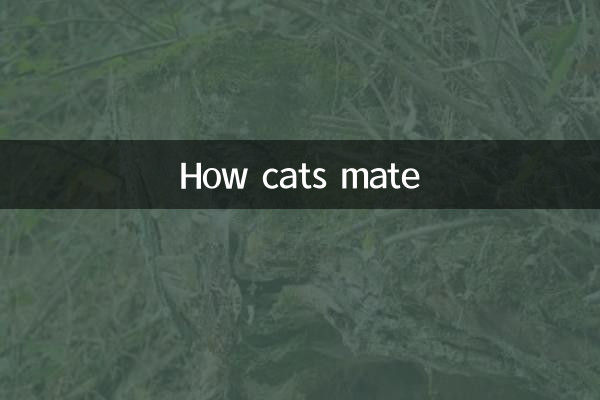 고양이가 짝짓는 방법