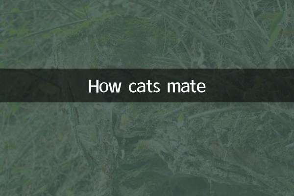 نحوه جفت گیری گربه ها