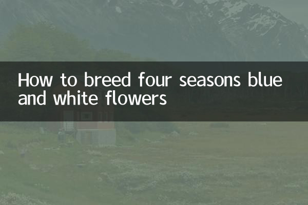 Cómo cultivar flores azules y blancas de las cuatro estaciones.