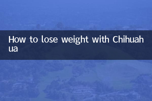 How to lose weight with Chihuahua