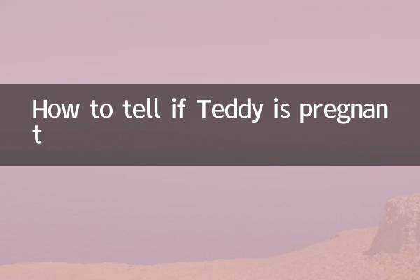 How to tell if Teddy is pregnant