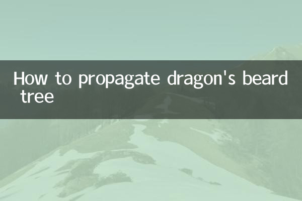 Как размножить дерево драконовой бороды