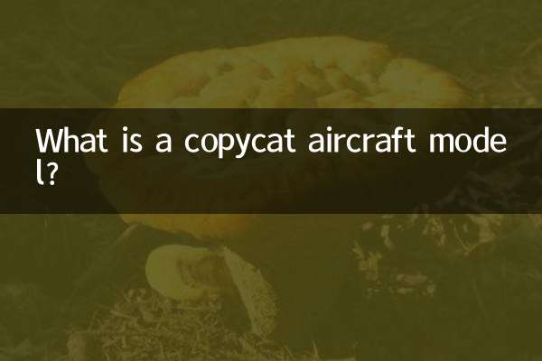 مدل هواپیمای کپی چیست؟