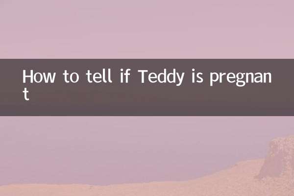 How to tell if Teddy is pregnant