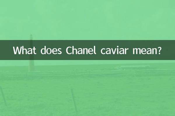 香奈儿鱼子酱什么意思