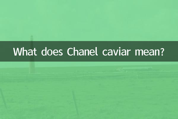香奈儿鱼子酱什么意思