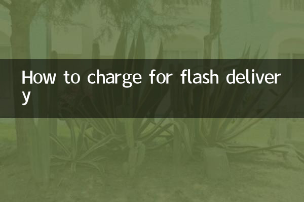 Como cobrar pela entrega flash