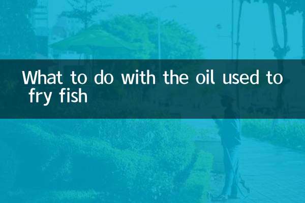炸过鱼的油怎么处理