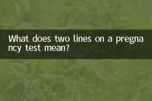 What does two lines on a pregnancy test mean?