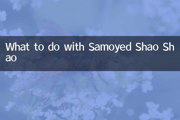 What to do with Samoyed Shao Shao