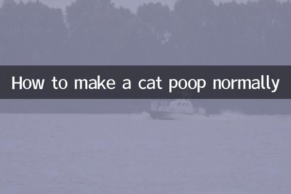 Cómo hacer que un gato haga caca normalmente