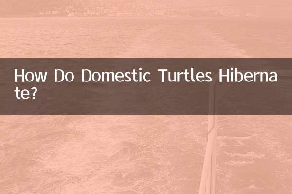 ¿Cómo hibernan las tortugas domésticas?