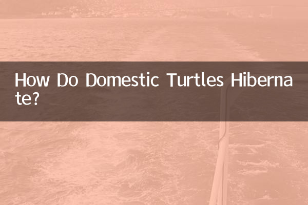 ¿Cómo hibernan las tortugas domésticas?