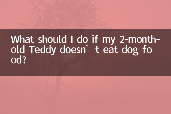 اگر تدی 2 ماهه من غذای سگ نخورد چه باید بکنم؟